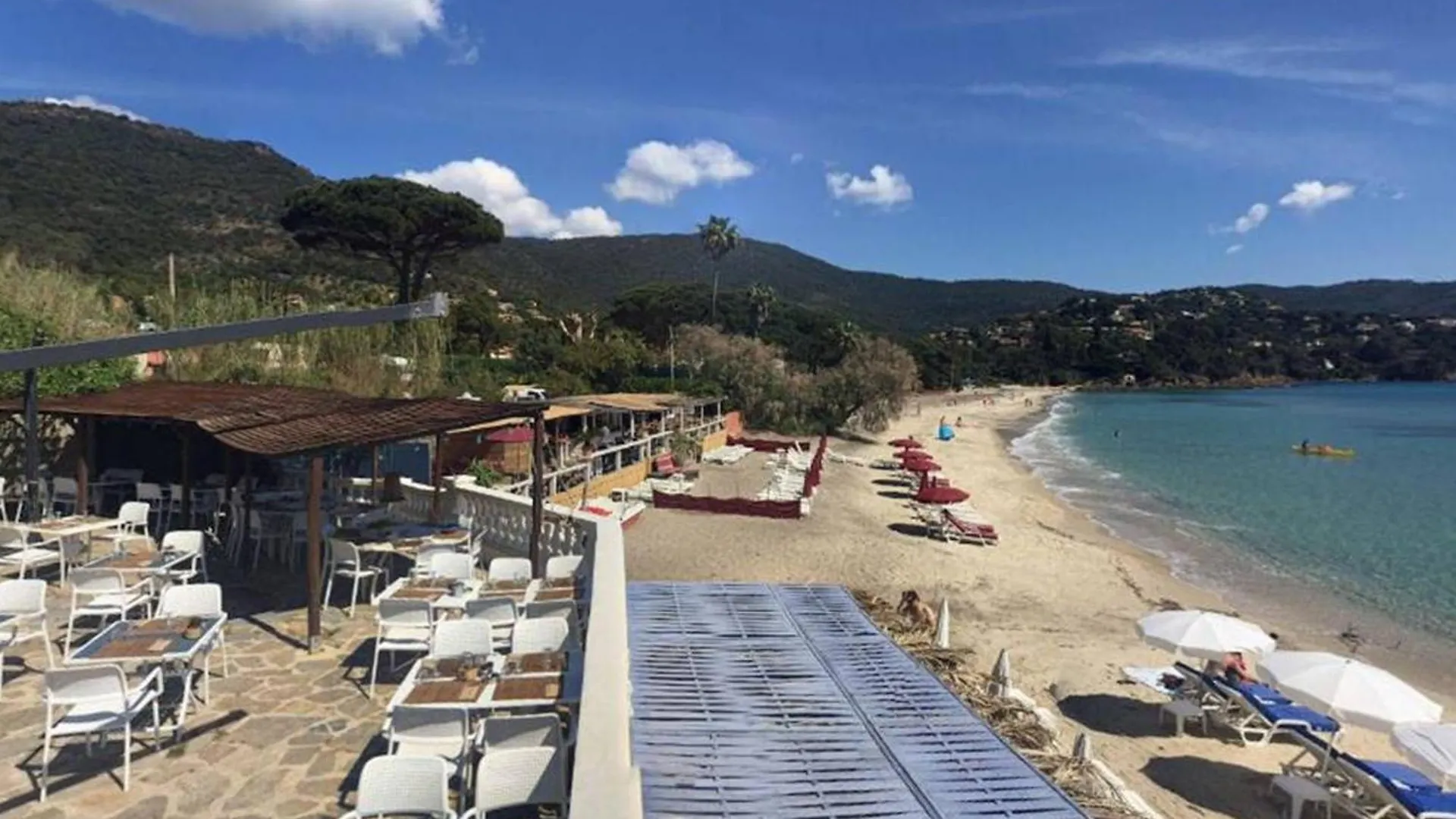 Apartment 2 Pces, 4 Couchages, Terrasse, Parking, Piscine, Proche Plage Et Commerces - Le Lavandou - Fr-1-251-558