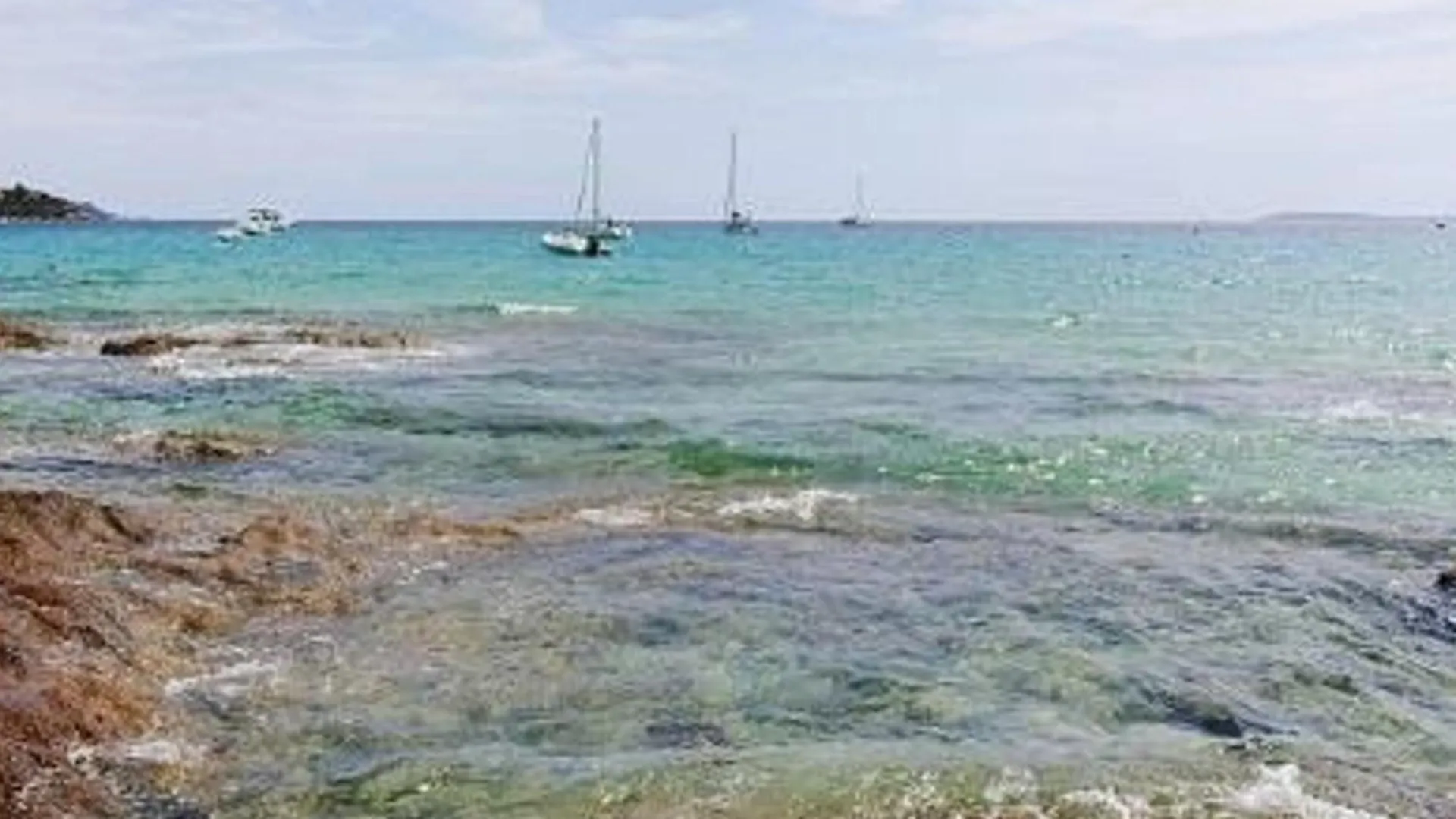 Apartment 2 Pces, 4 Couchages, Terrasse, Parking, Piscine, Proche Plage Et Commerces - Le Lavandou - Fr-1-251-558